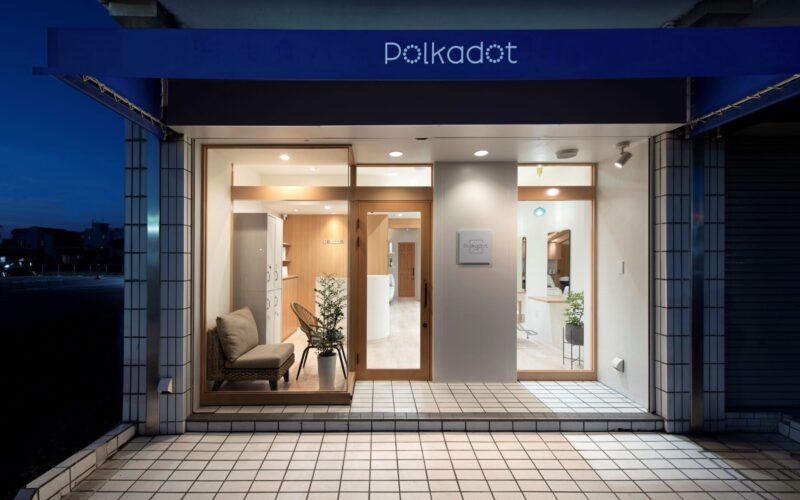 Polkadot by ground